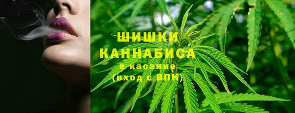 гидра Наволоки